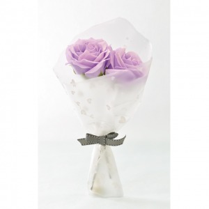sbl-151_purple